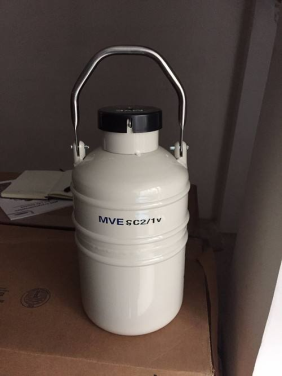 mve 2/1v液氮罐