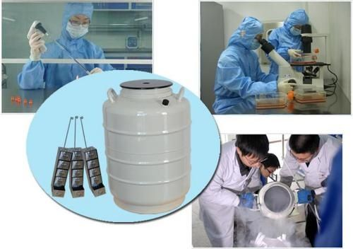 使用液氮罐冻精步骤 使用液氮罐冻精步骤