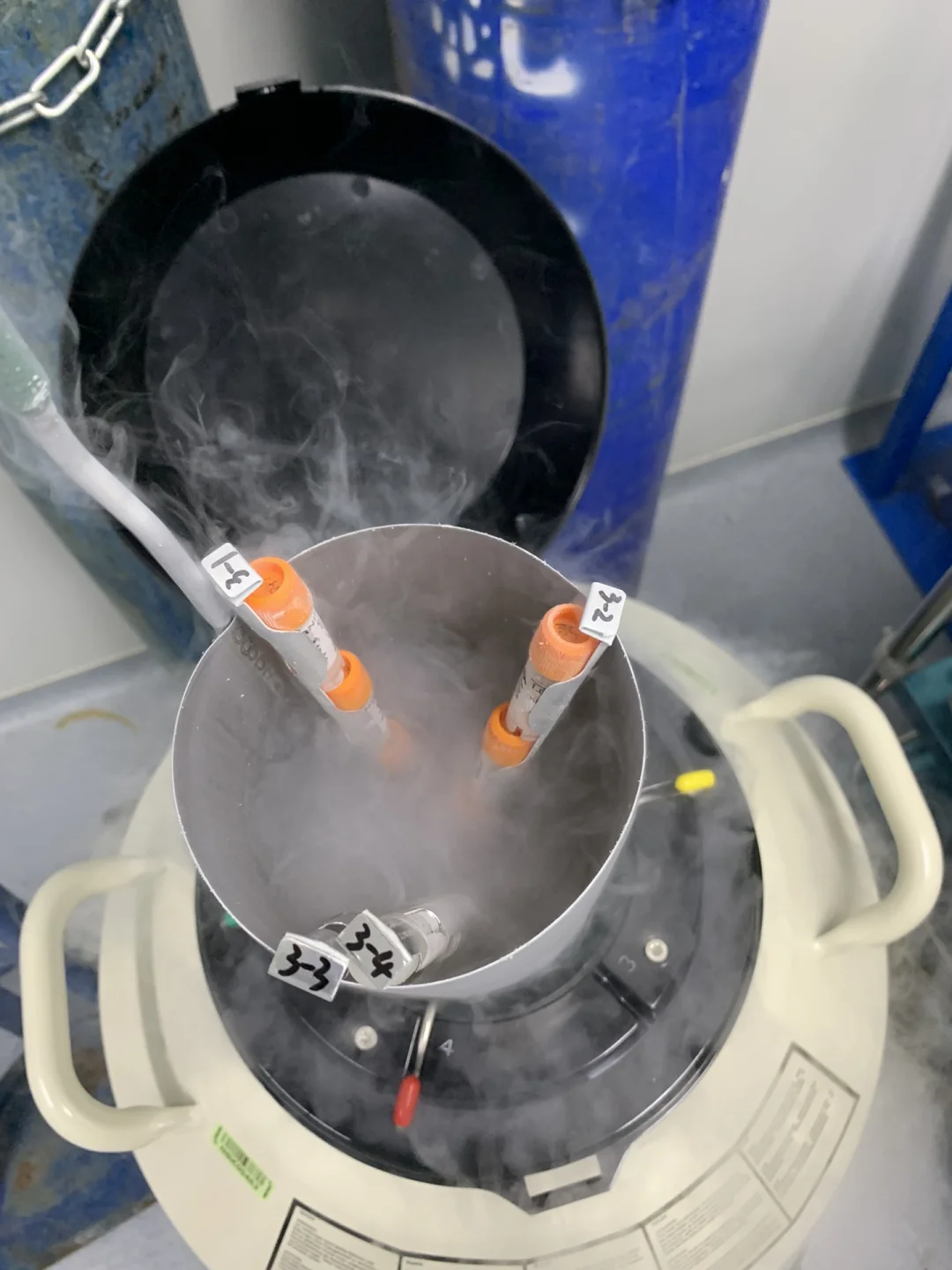 使用液氮罐储存胚胎样品