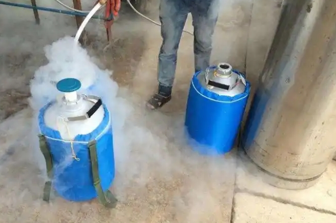 液氮户外携带