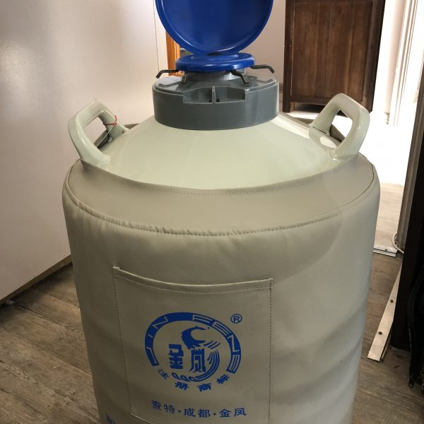 金凤液氮罐30L