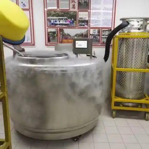 气相液氮罐