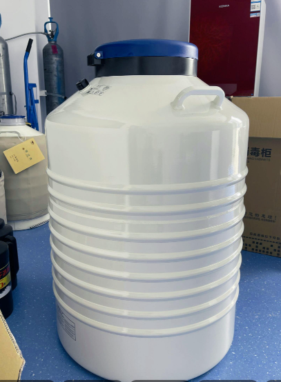 金凤液氮罐